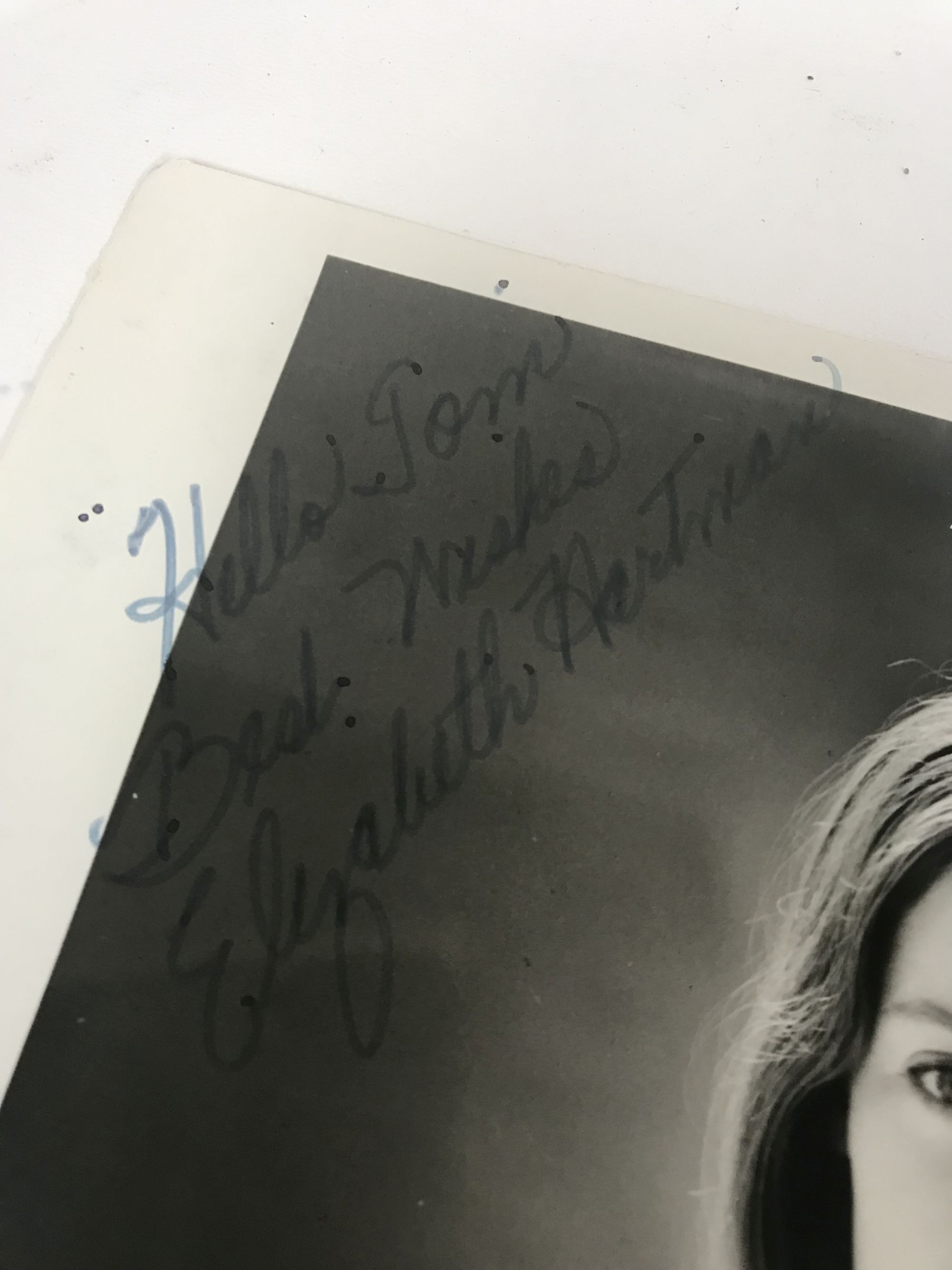 AACS Autographs: Elizabeth Hartman (d. 1987) Autographed Vintage Glossy ...