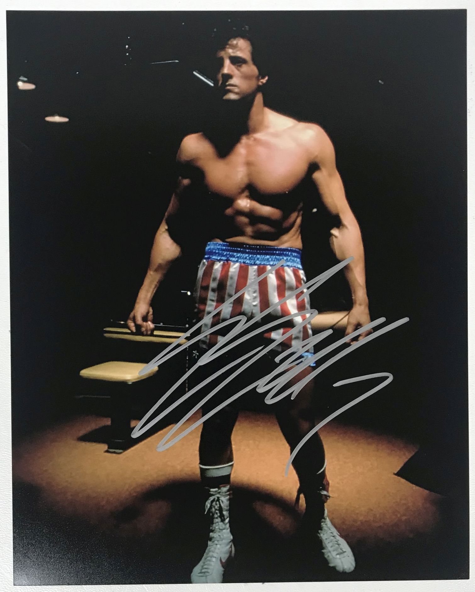 AACS Autographs Sylvester Stallone Autographed "Rocky" Glossy 8x10 Photo